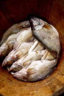 徽菜 一份乡情,一份美好 美食 网