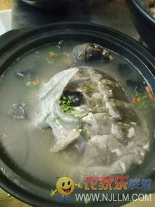 歙县三阳镇紫云山庄