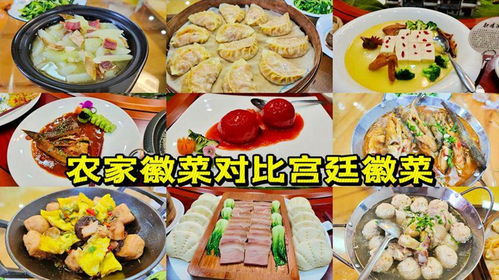 王哥大神被邀请参与徽菜预制菜和农产品深加工项目,品尝新老徽菜