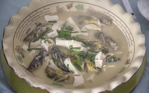 秋天,寻找不一样的江南古镇