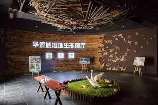 最新 深圳最适合一日游的免费景点,去过5个你就是深圳通