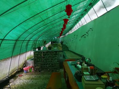 石门:彰显红色 筑牢绿色