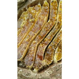 石棉特产高山野生原生态蜂蜜 邮政同石棉政府精准扶贫