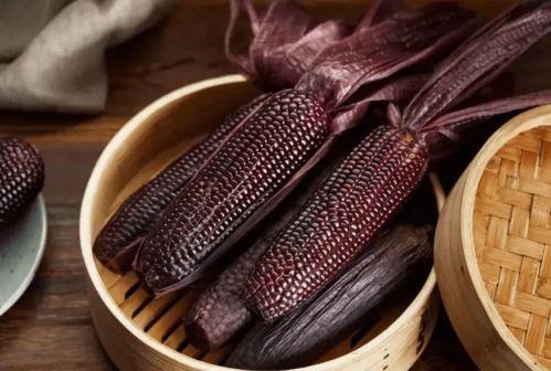 徽菜行天下 黄山旅游徽菜板块 拓展至7城14店