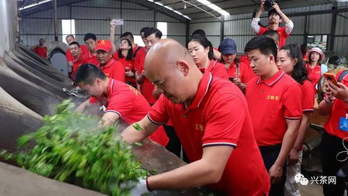 来扒一扒 皓品班章 如此受欢迎 这里面有3个不能说的秘密