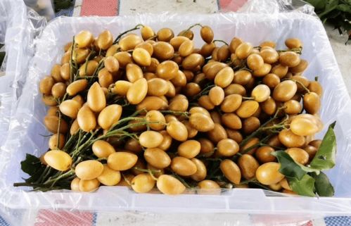 剪枝精品果 云浮郁南时令水果爽甜鸡心黄皮,原生态种植,当天新鲜采摘,果味浓,5斤 净果4 4.5