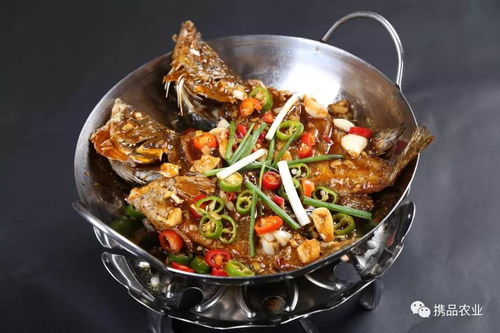 细数徽文化名产与徽菜——品味大爱黄山的原生态魅力