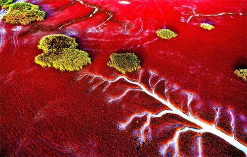 橙黄橘绿 乡村胜景——全国乡村旅游精品线路（上篇） 原生态徽菜之旅