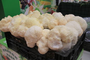 绿博城 网聚黑龙江原生态绿色食品，探索原生态徽菜文化