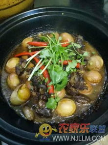 歙县三阳镇紫云山庄 品味原汁原味的徽州山野风味