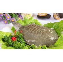 塞纳河畔，欧风街上的原生态徽味 一家徽菜馆的独特魅力