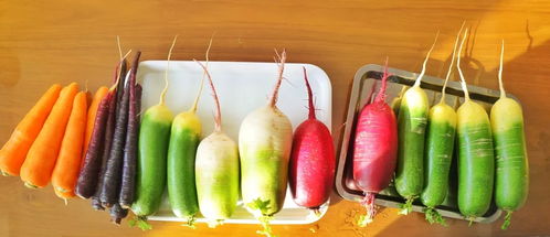 追本溯源，探访平度原生态农业产品与徽菜文化的交融